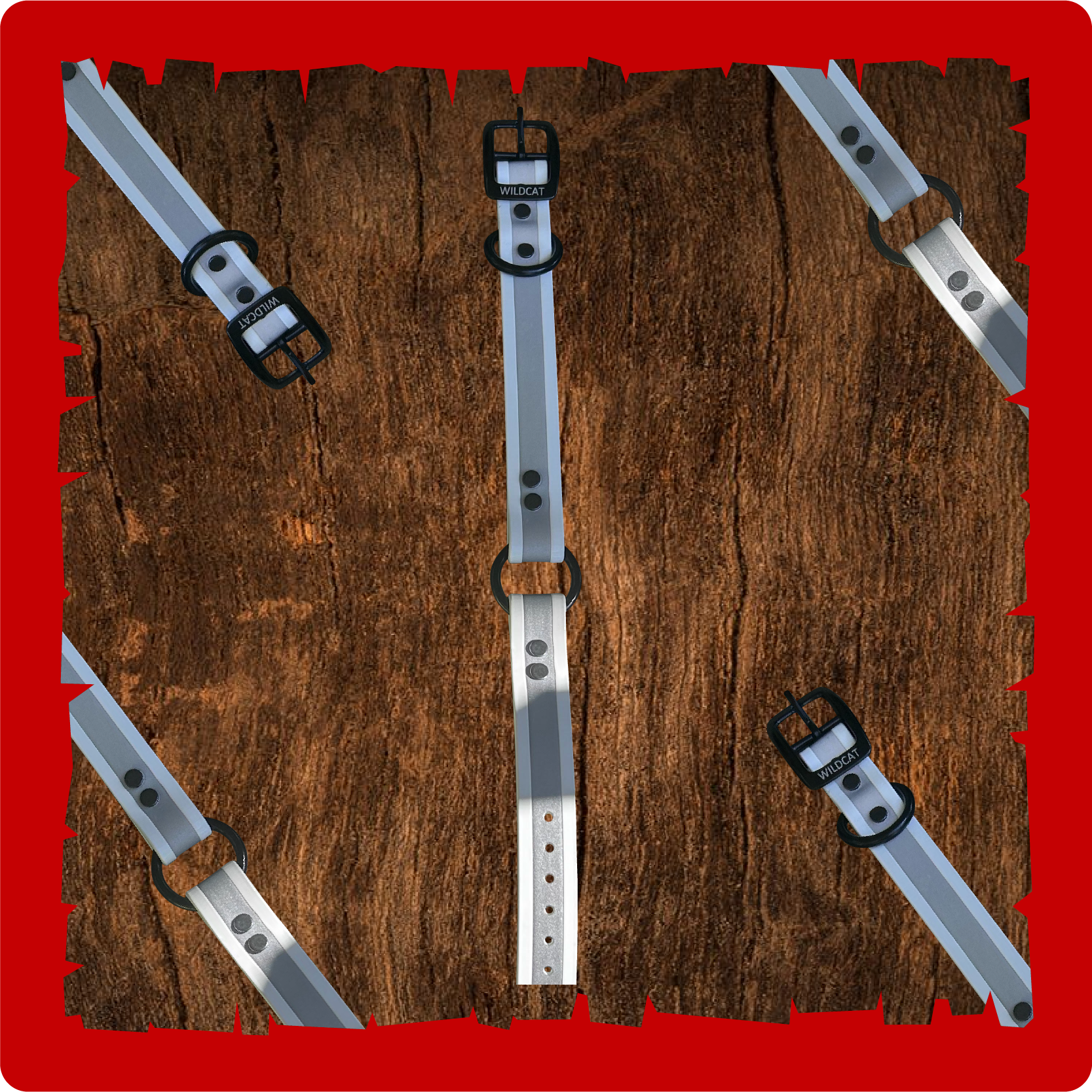 "1” dayglo collars with O-D ring reflective