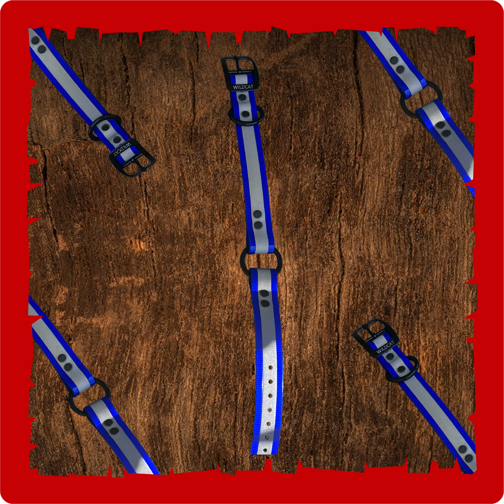 "1” dayglo collars with O-D ring reflective