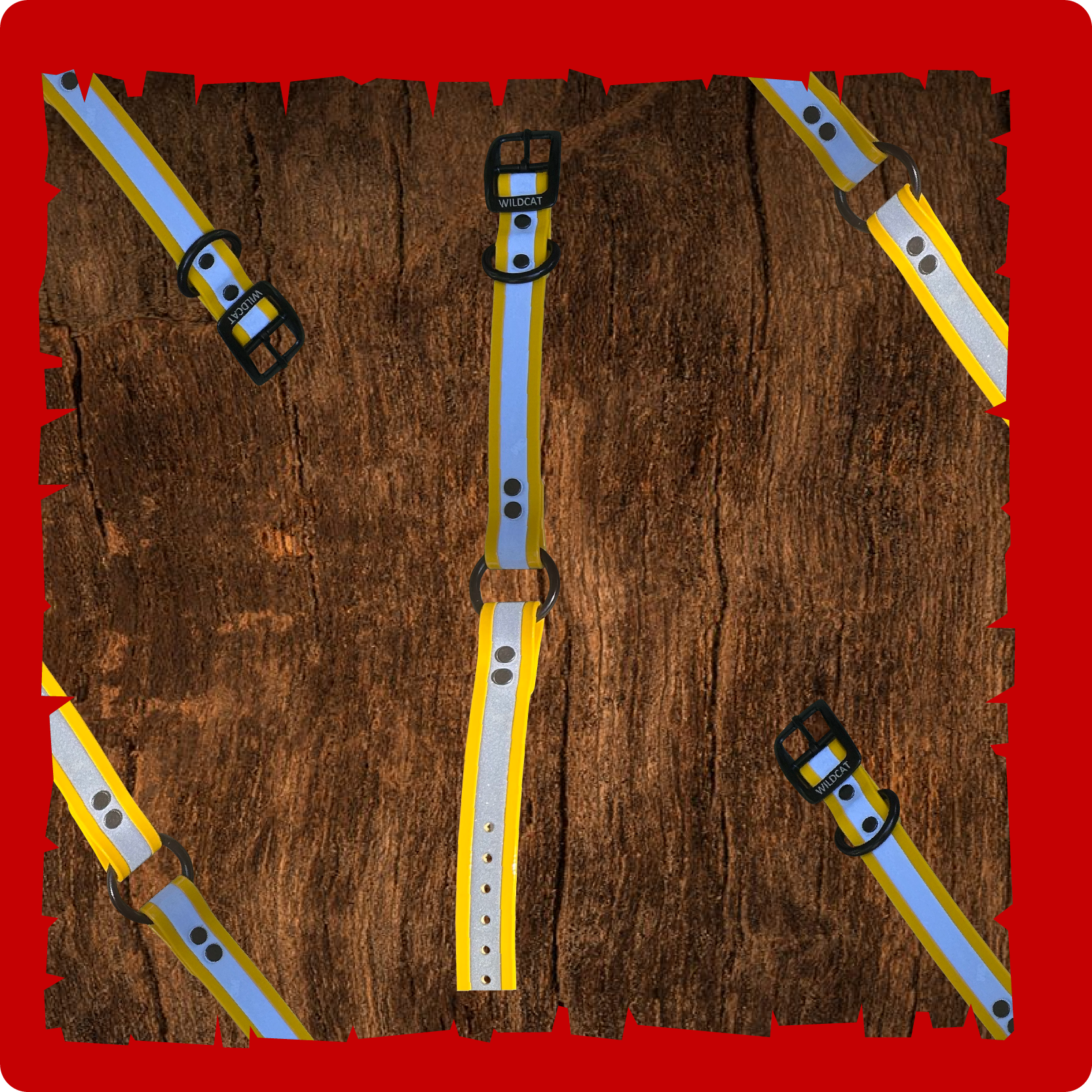 "1” dayglo collars with O-D ring reflective