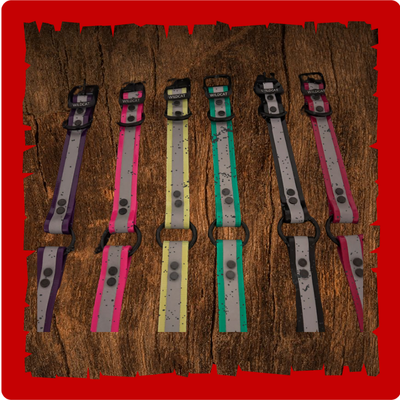 1 inch day glow collars and leads