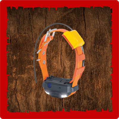 Dogtra Pathfinder2 Mini TRX Track Only Collar