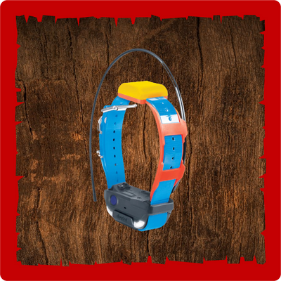 Dogtra Pathfinder 2 TRX Additional Collar
