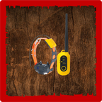 Dogtra Pathfinder 2 Mini System