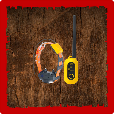 Dogtra Pathfinder 2 Mini System