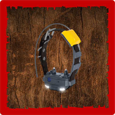 Dogtra Pathfinder2 Mini additional Track and Train Collar