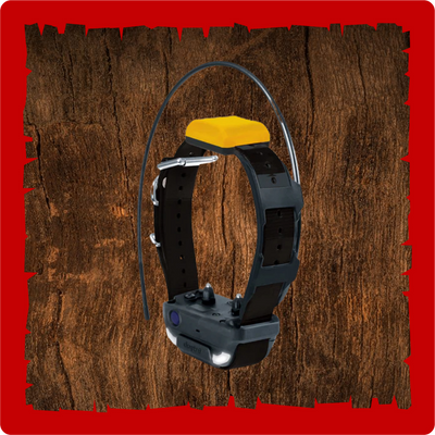 Dogtra Pathfinder 2 Additional Track and Train Collar