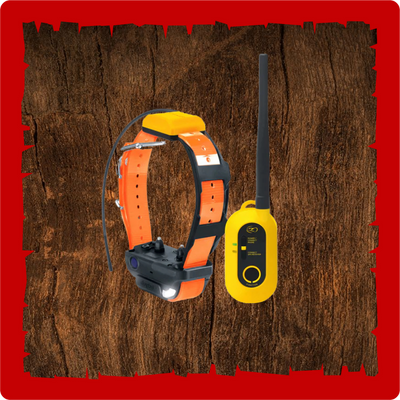 Dogtra Pathfinder 2 Track and Train Combo