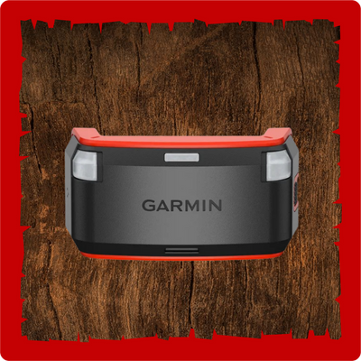 Garmin Alpha LTE
