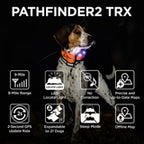 Dogtra Pathfinder 2 TRX Additional Collar